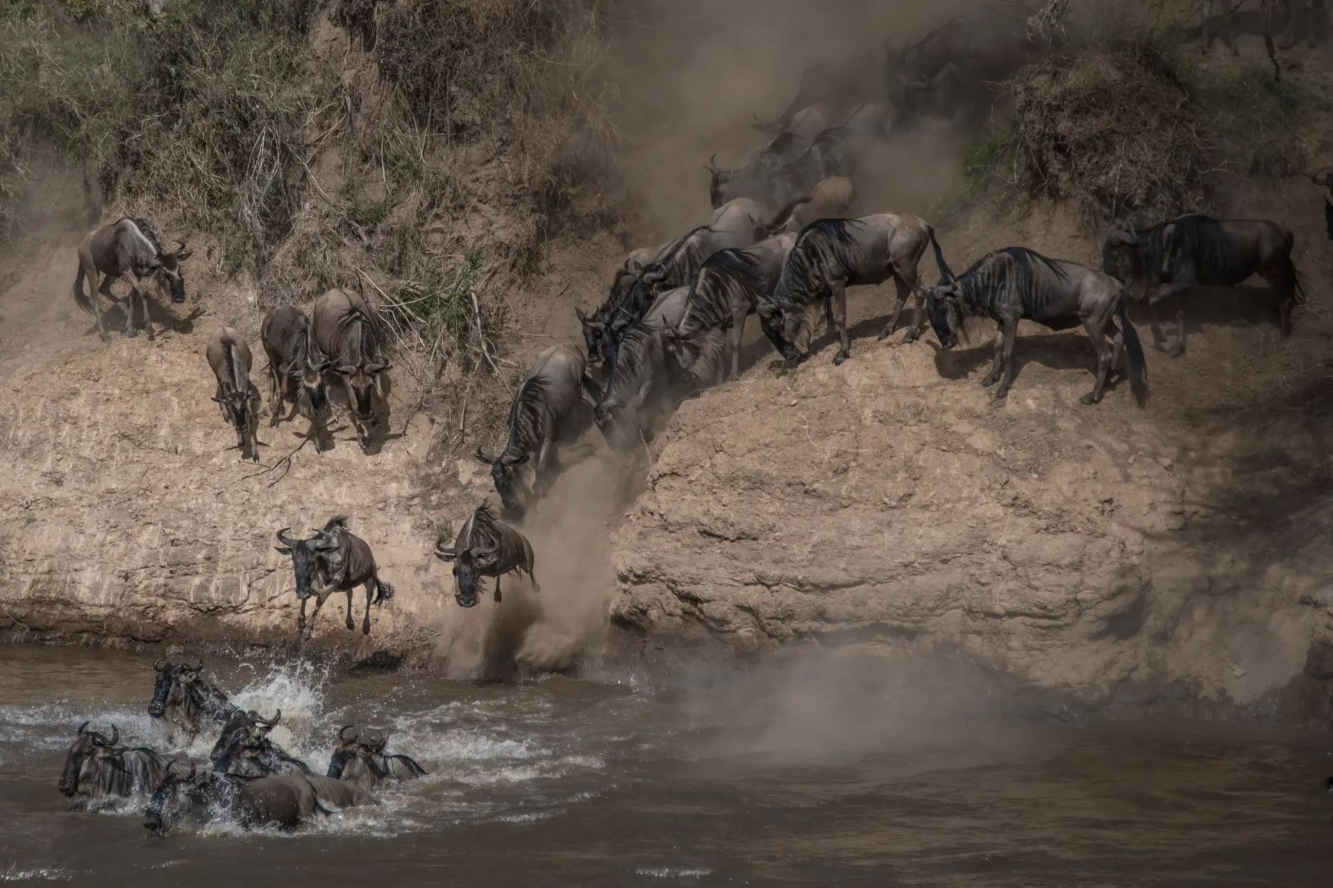 5-day Tanzania migration safari from Arusha